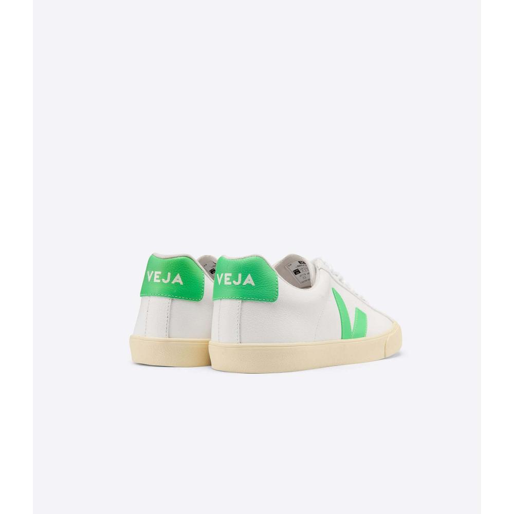 White/Green Men's Veja ESPLAR CHROMEFREE Shoes | AU 192EBC